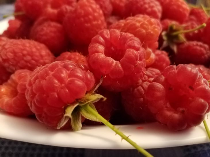 Beeren