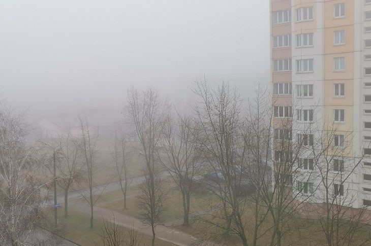 Nebel