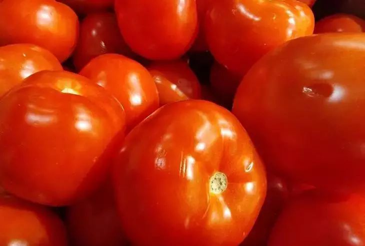 Tomaten