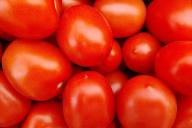 Tomaten