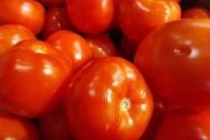 Tomaten