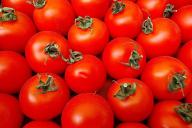 Tomaten