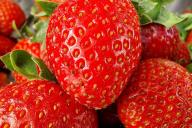 Beeren