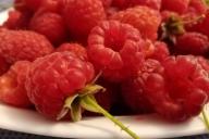 Beeren