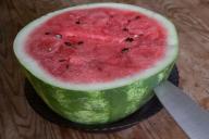 Wassermelone 