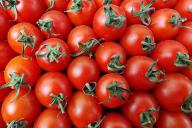 Tomaten