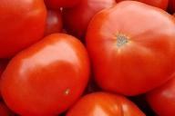 Tomate