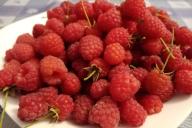 Beeren