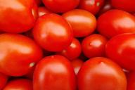 Tomaten