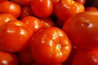 Tomaten