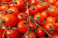 Tomaten