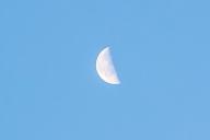 Mond