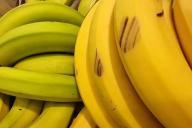 Banane