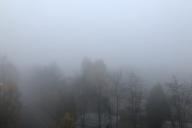 Nebel